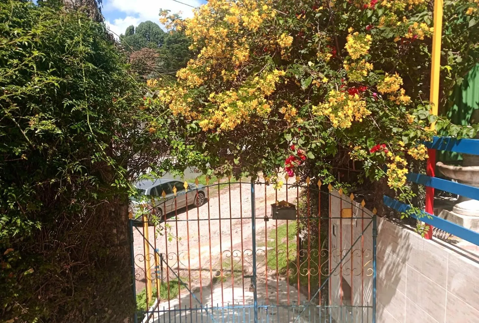 Casa Do Passarinho Apartamento Campos do Jordão Brasil